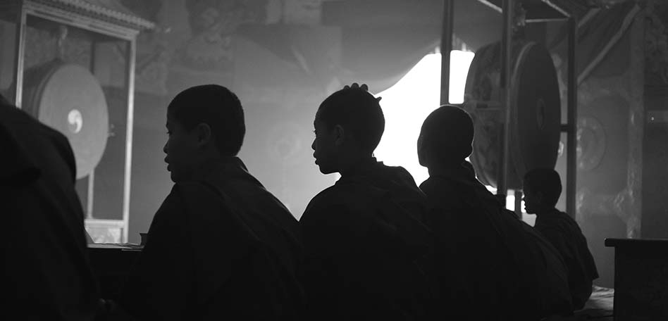meditacion para niños monjes jovendes budistas meditando